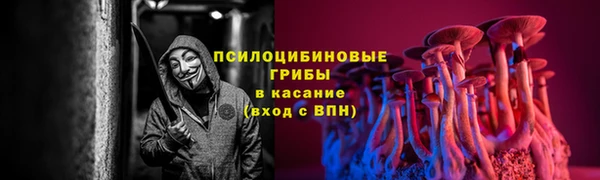спиды Алзамай