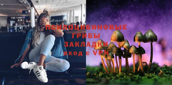 сатива Алексеевка