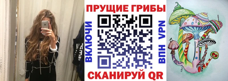 Псилоцибиновые грибы Psilocybe  Самара 